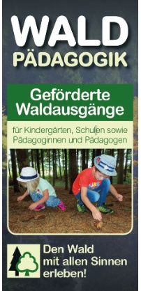 Waldpädagogik-Flyer über geförderte Waldausgänge