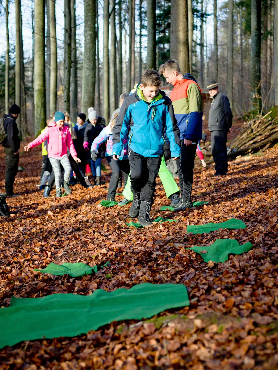 Kinder beim Waldgang