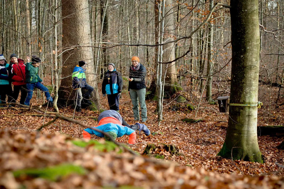 Kinder und Waldpädagogen im Wald